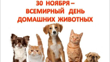 День домашних животных! День домашних животных!.