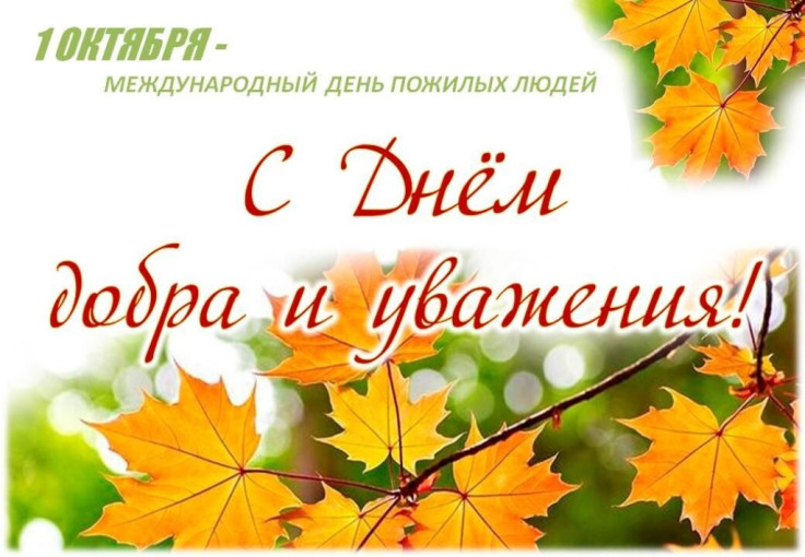 С днем пожилого человека! С днем мудрости! С днем пожилого человека! С днем мудрости!.